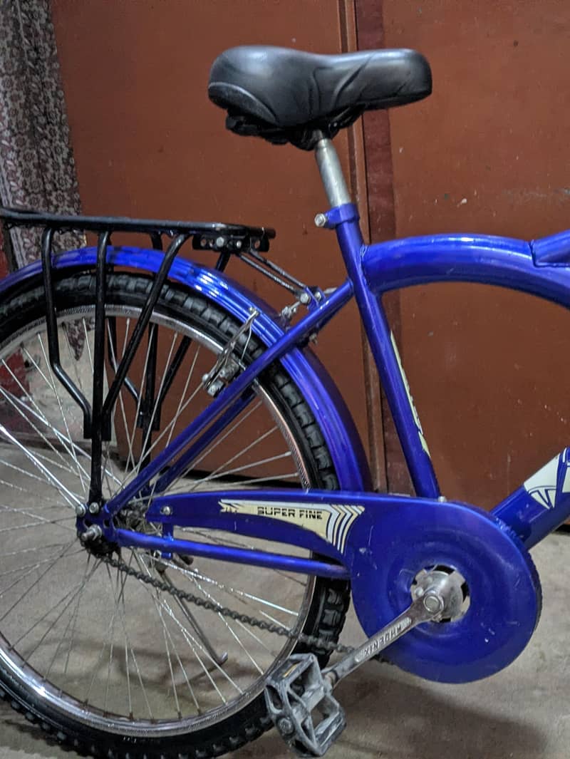 BICYCLE CLEAN AND RUSTLESS 1