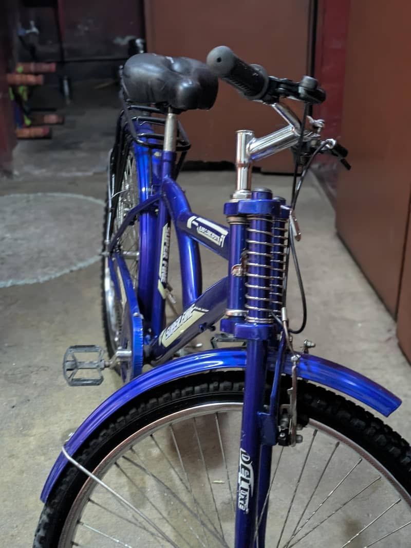 BICYCLE CLEAN AND RUSTLESS 2