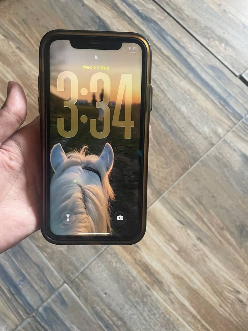 Apple iPhone 11 0