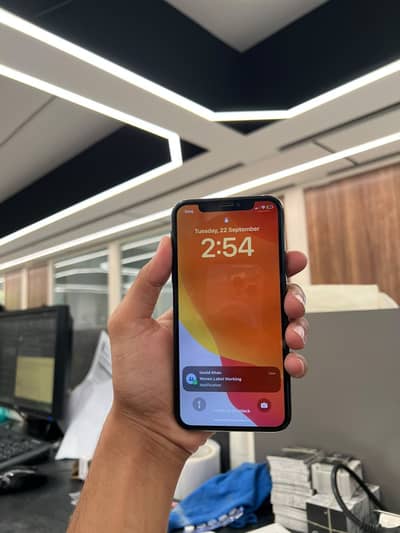 Apple iPhone X