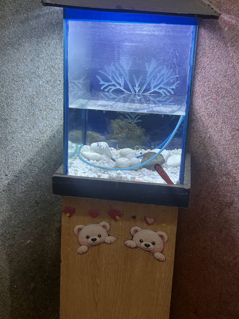 Aqurium 2