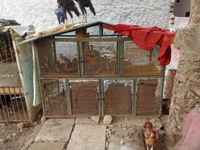 heavy iron made cages