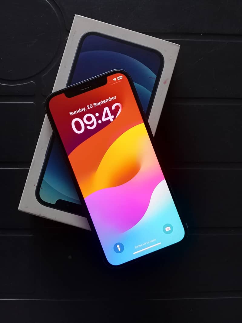 Apple iPhone 12 1