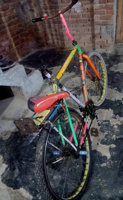 medium size cycle