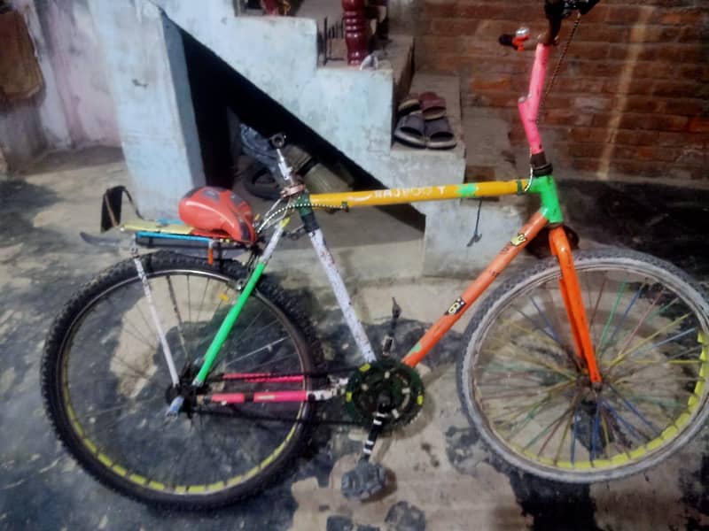 medium size cycle 1