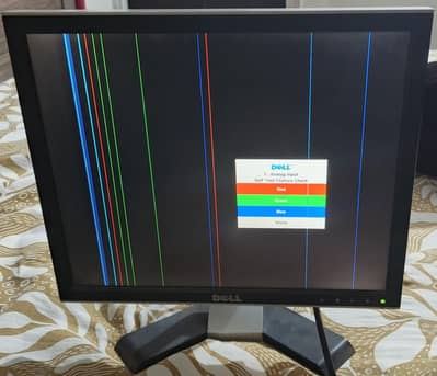 Dell LCD 19-Inch