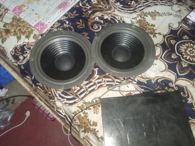 10 inch woofers