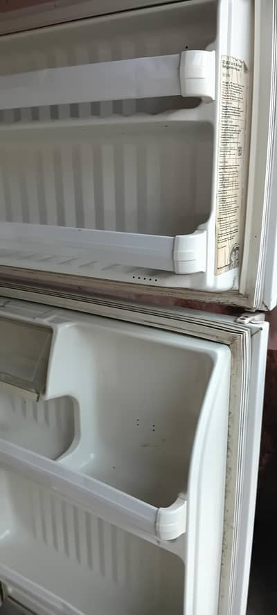 imported freezer full chill cooling