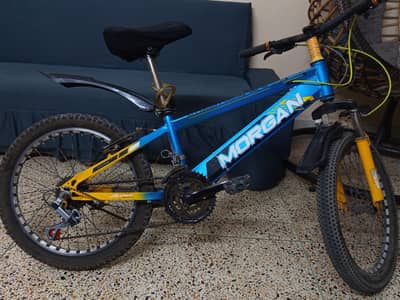 Morgan 20-Inch Kids/Teens Mountain Bike – Just Like New
