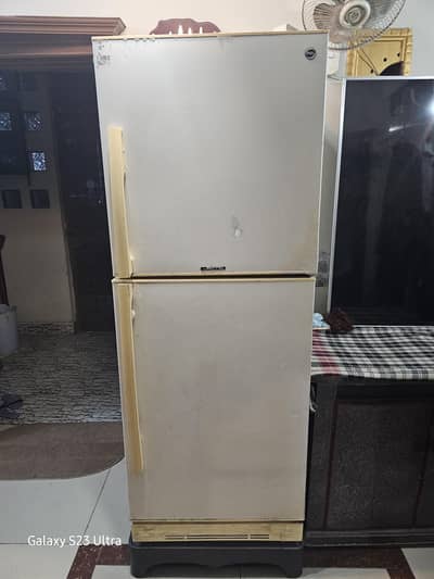 PEL Fridge