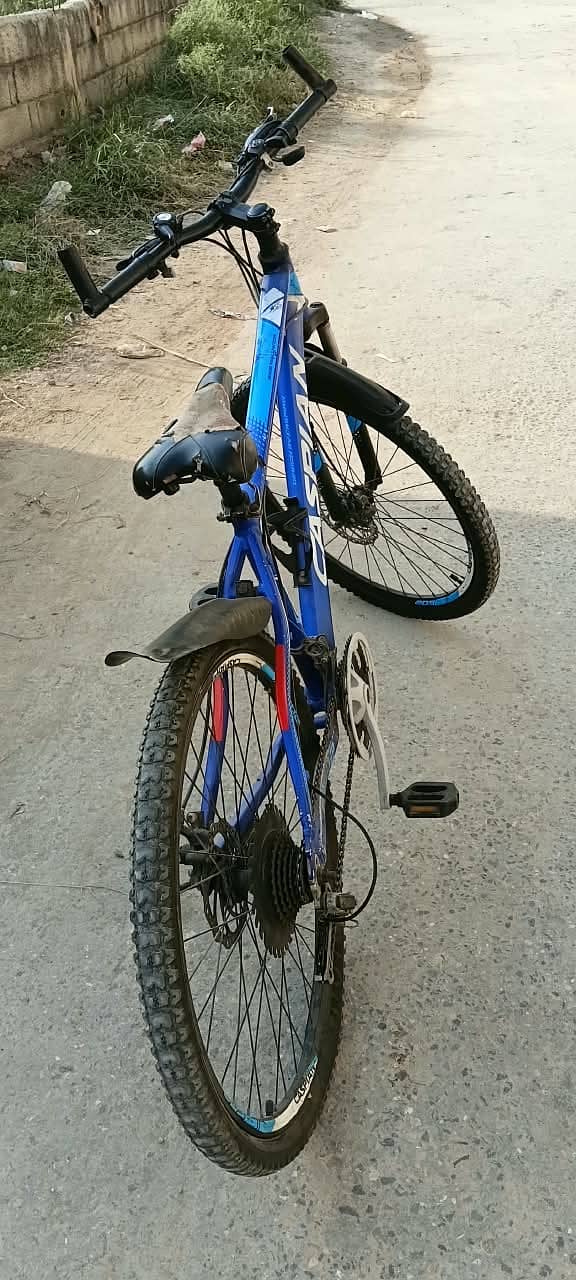 Cycle 4