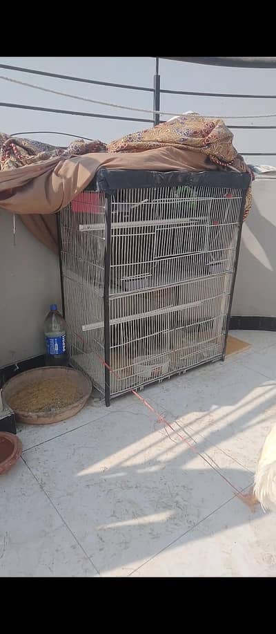 Cages Double story n Folding Heavy Metal rod cage