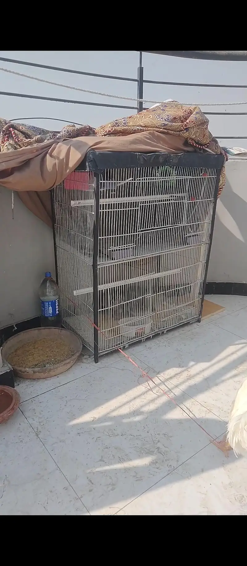 Cages Double story n Folding Heavy Metal rod cage