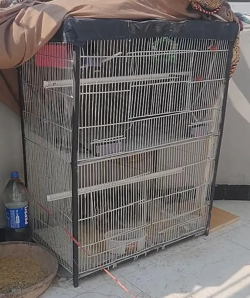 Cages Double story n Folding Heavy Metal rod cage — photo 2