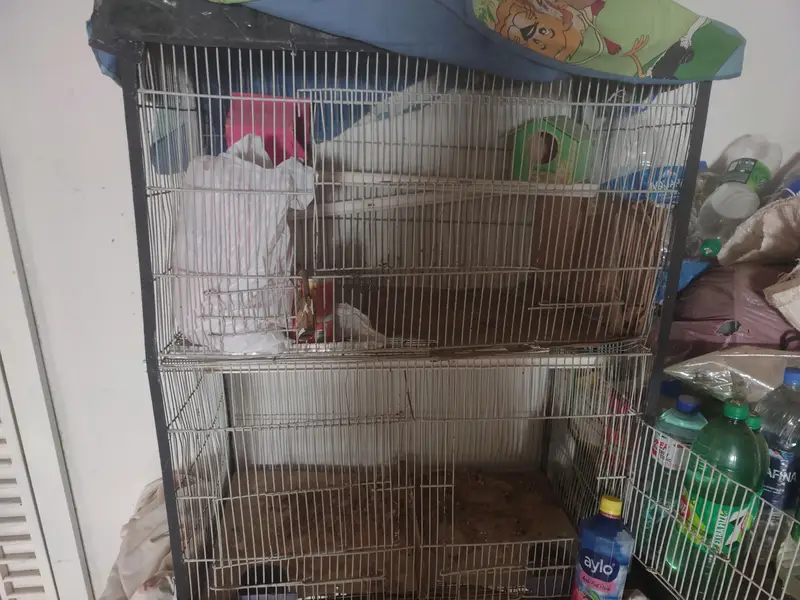 Cages Double story n Folding Heavy Metal rod cage — photo 3
