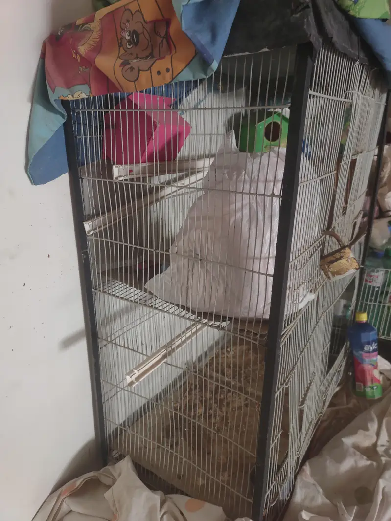 Cages Double story n Folding Heavy Metal rod cage — photo 4