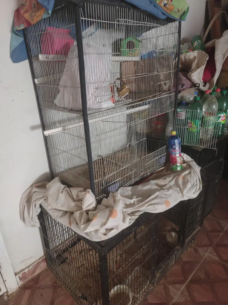 Cages Double story n Folding Heavy Metal rod cage — photo 5
