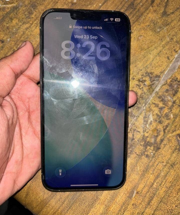 Apple iPhone 13 Pro Max 1