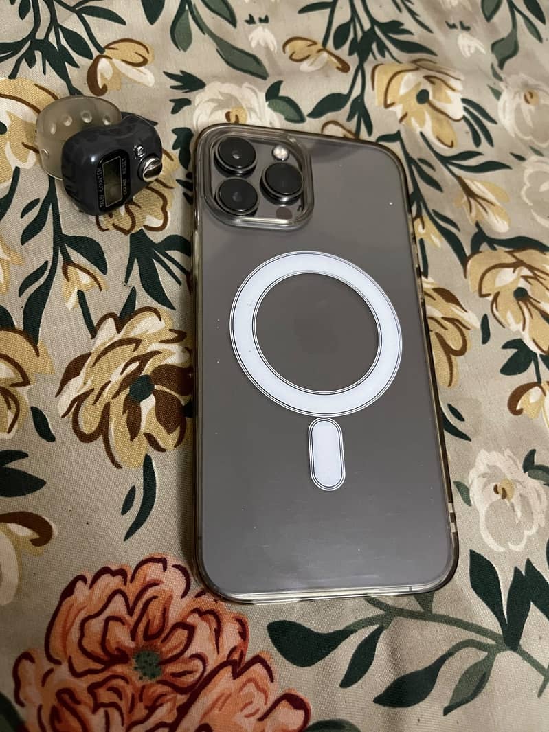 Apple iPhone 13 Pro Max 1