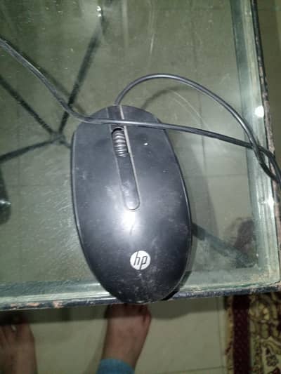 mouse