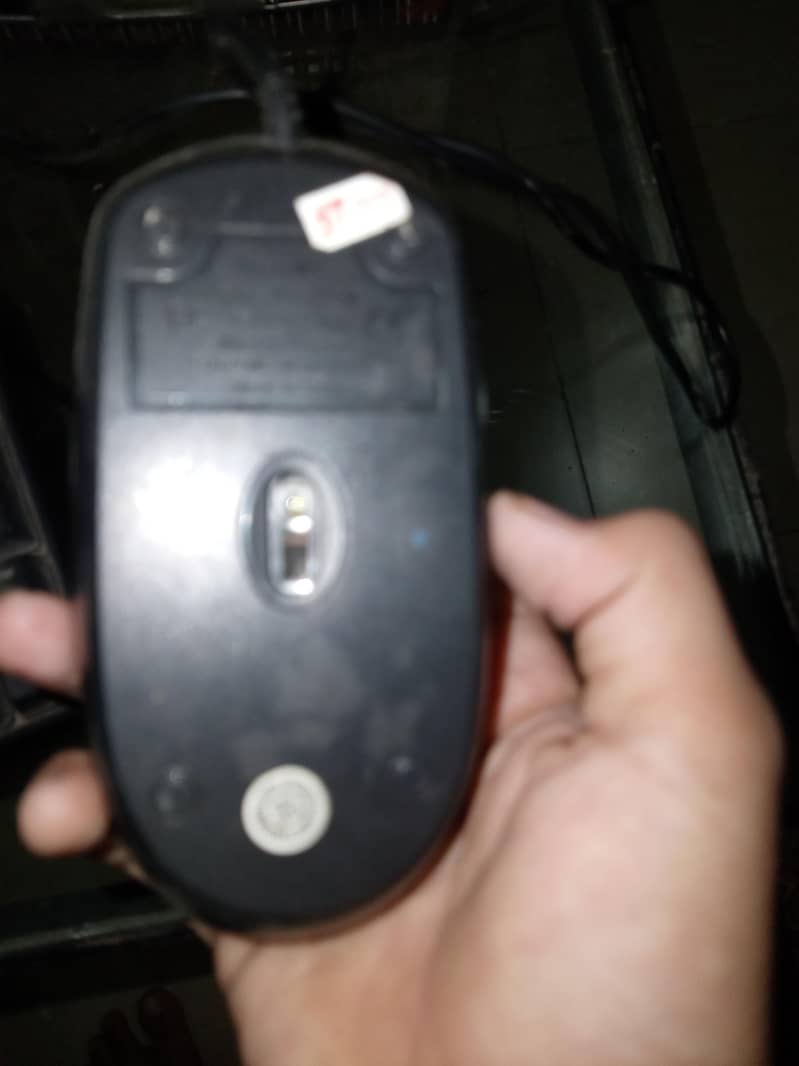mouse 1