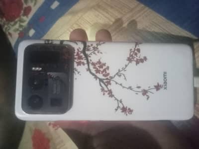 Xiaomi Mi 11 Ultra