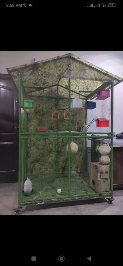 cage for sale with birds