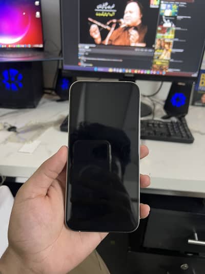Apple iPhone 13 Pro Max
