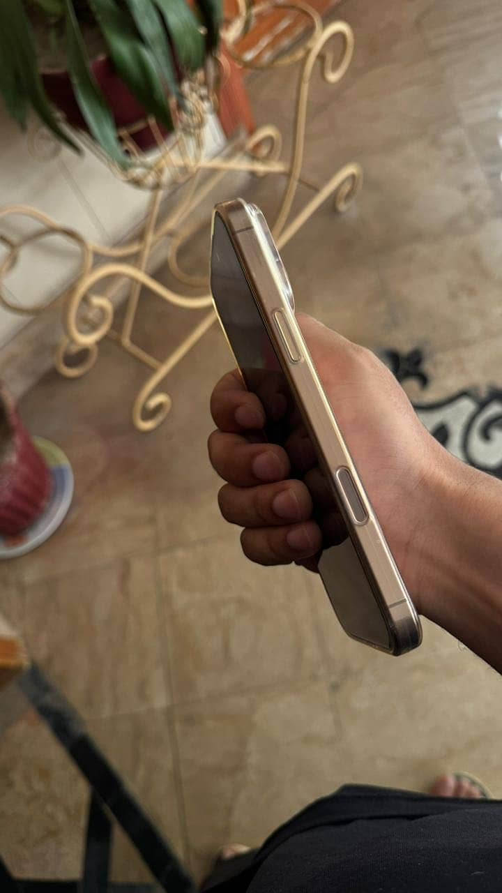 Apple iPhone 16 Pro Max 2