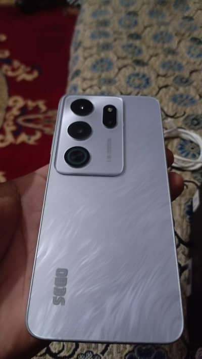 SEGO Note 70   With 7 Month Warrant