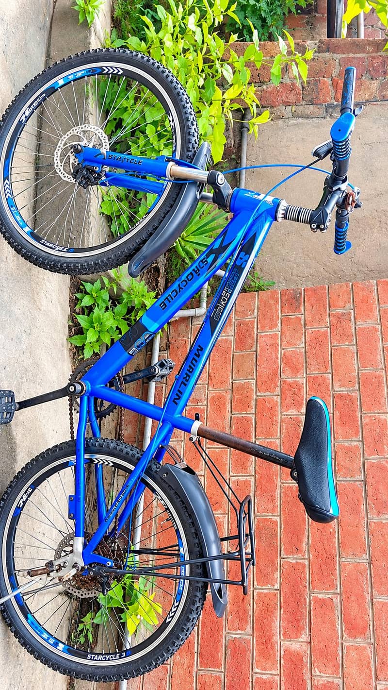 bicycle 0