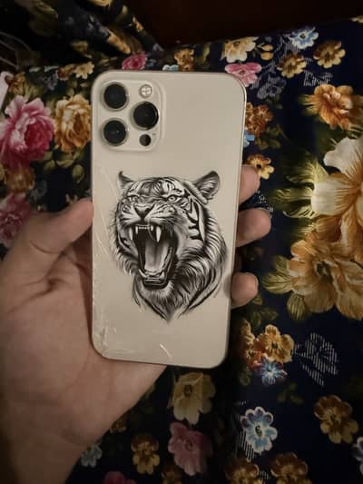 Apple iPhone 12 Pro Max