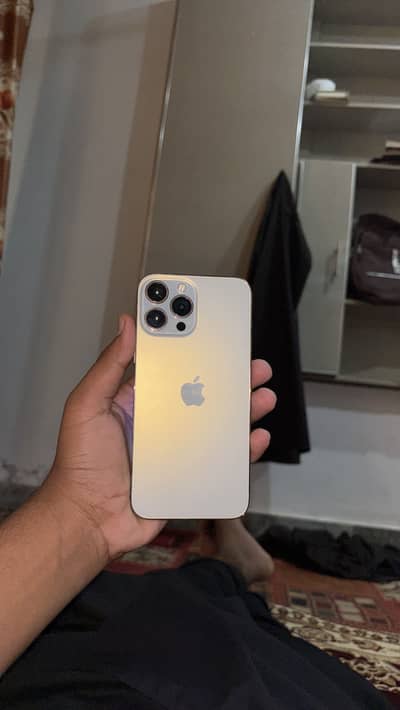 Apple iPhone 13 Pro Max