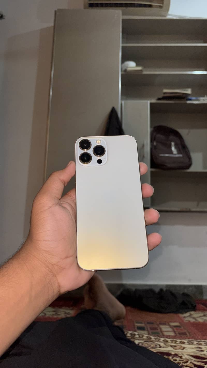 Apple iPhone 13 Pro Max 1
