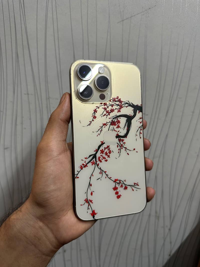 Apple iPhone 14 Pro Max 1