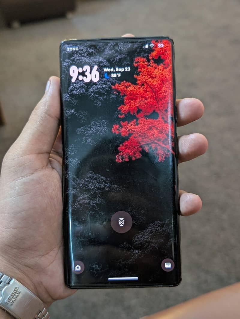 Google Pixel 6 Pro 1