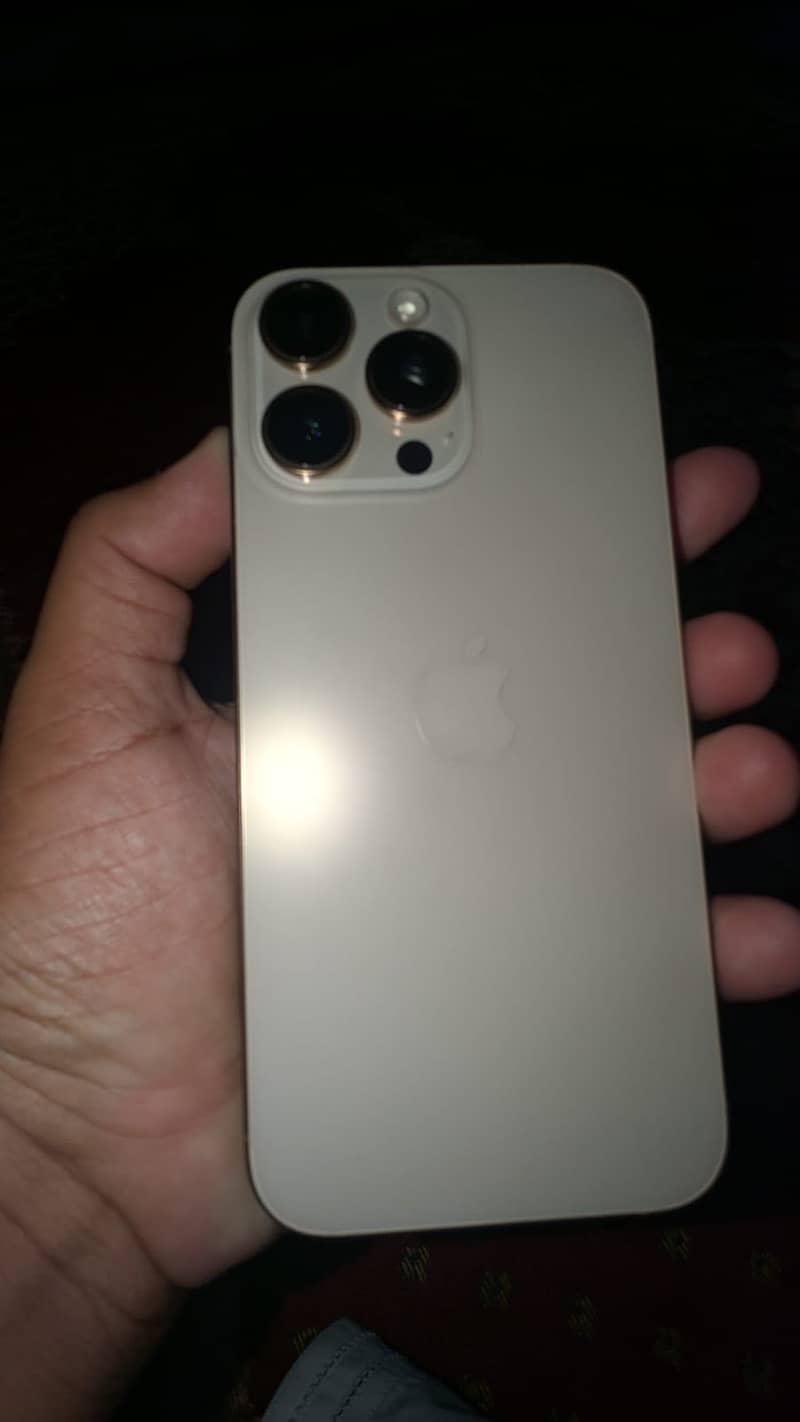Apple iPhone 16 Pro Max 1