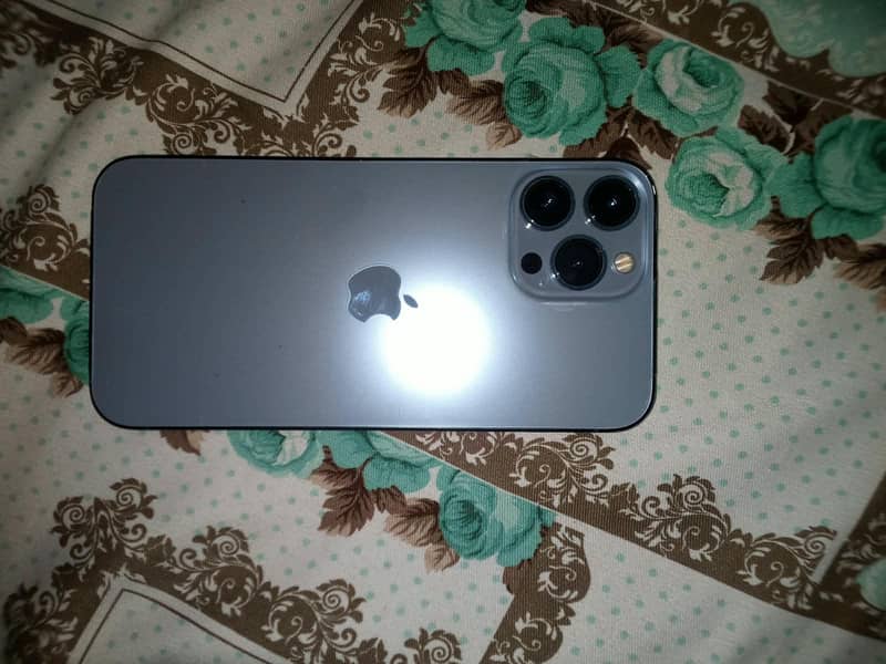 Apple iPhone 13 Pro Max 1