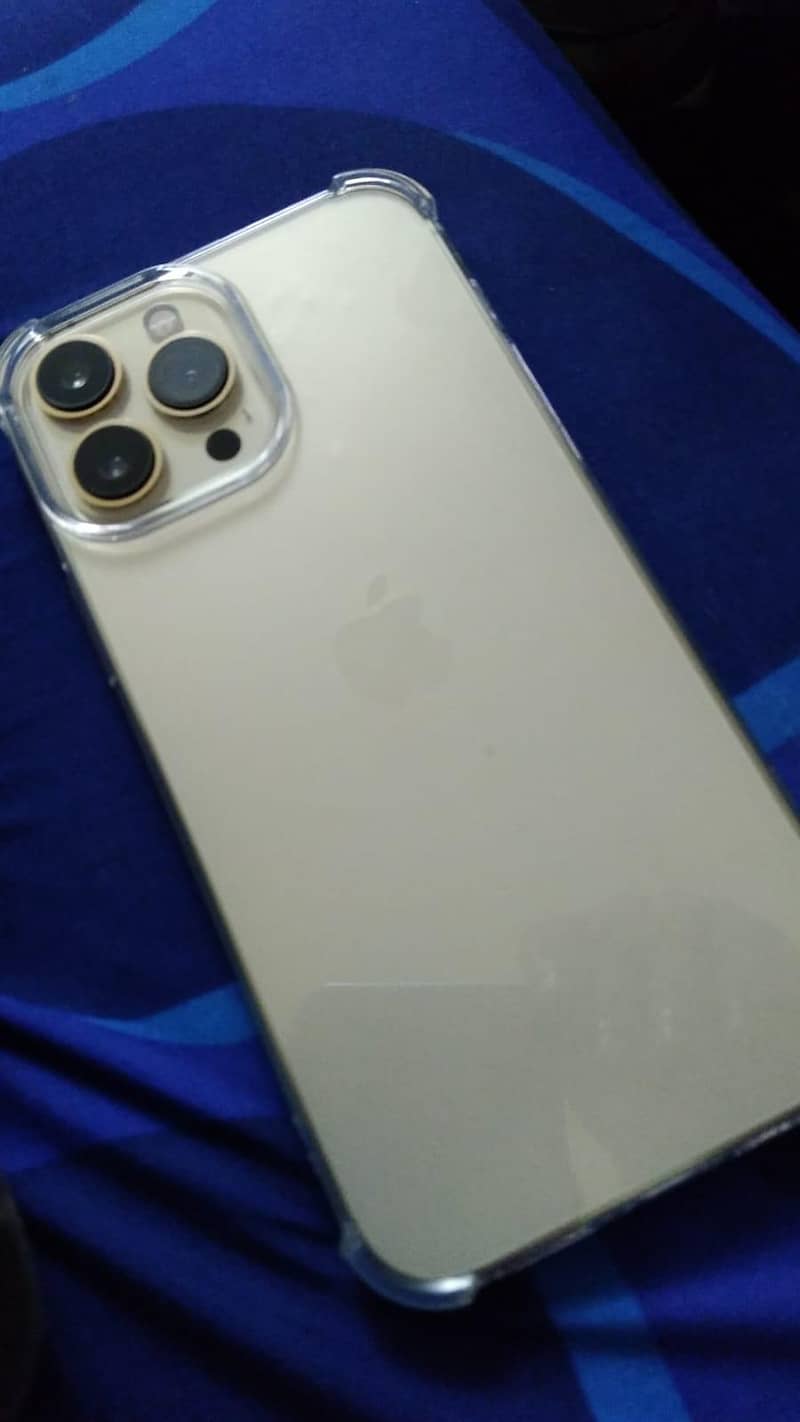 Apple iPhone 13 Pro Max 2
