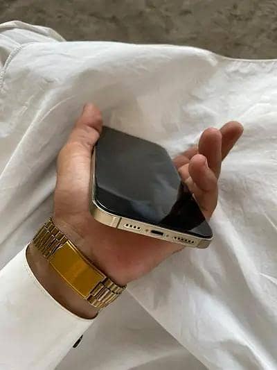 Apple iPhone 13 Pro Max 3