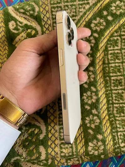 Apple iPhone 13 Pro Max 5