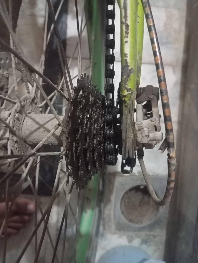 cycle 2