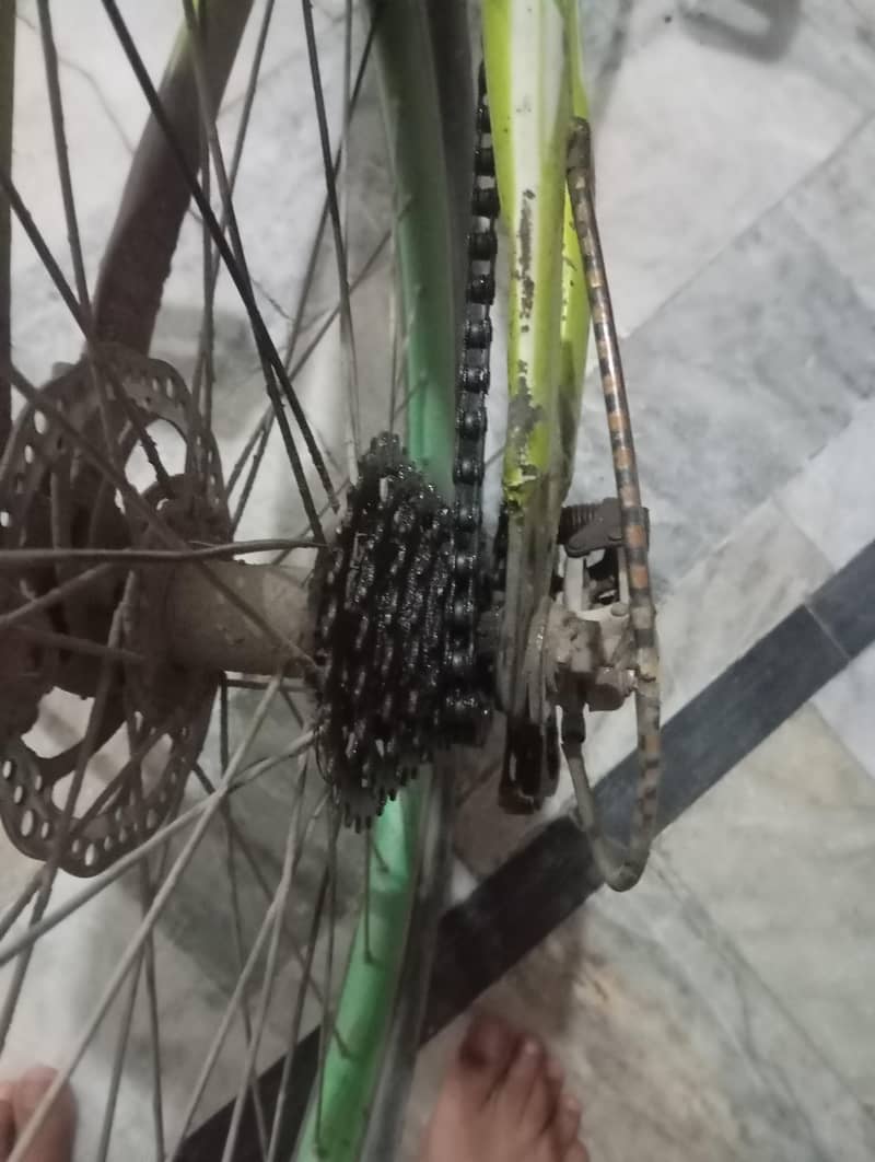 cycle 6