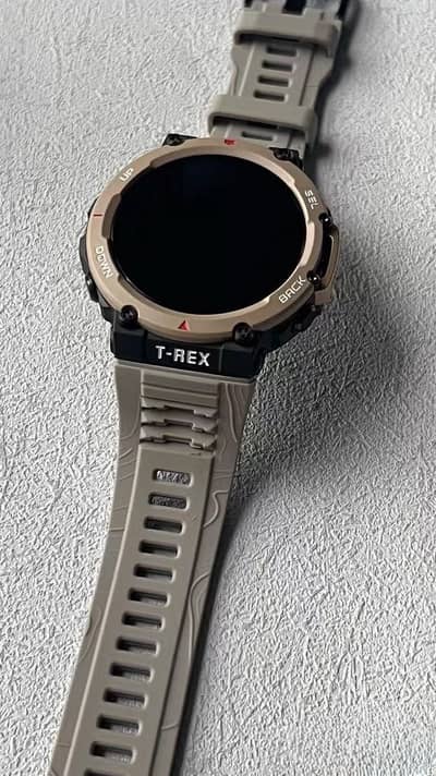 Amazfit Trex 2 Sports Smartwatch