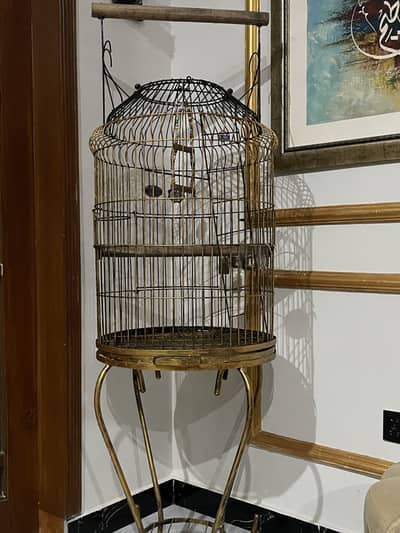 Cage for big birds