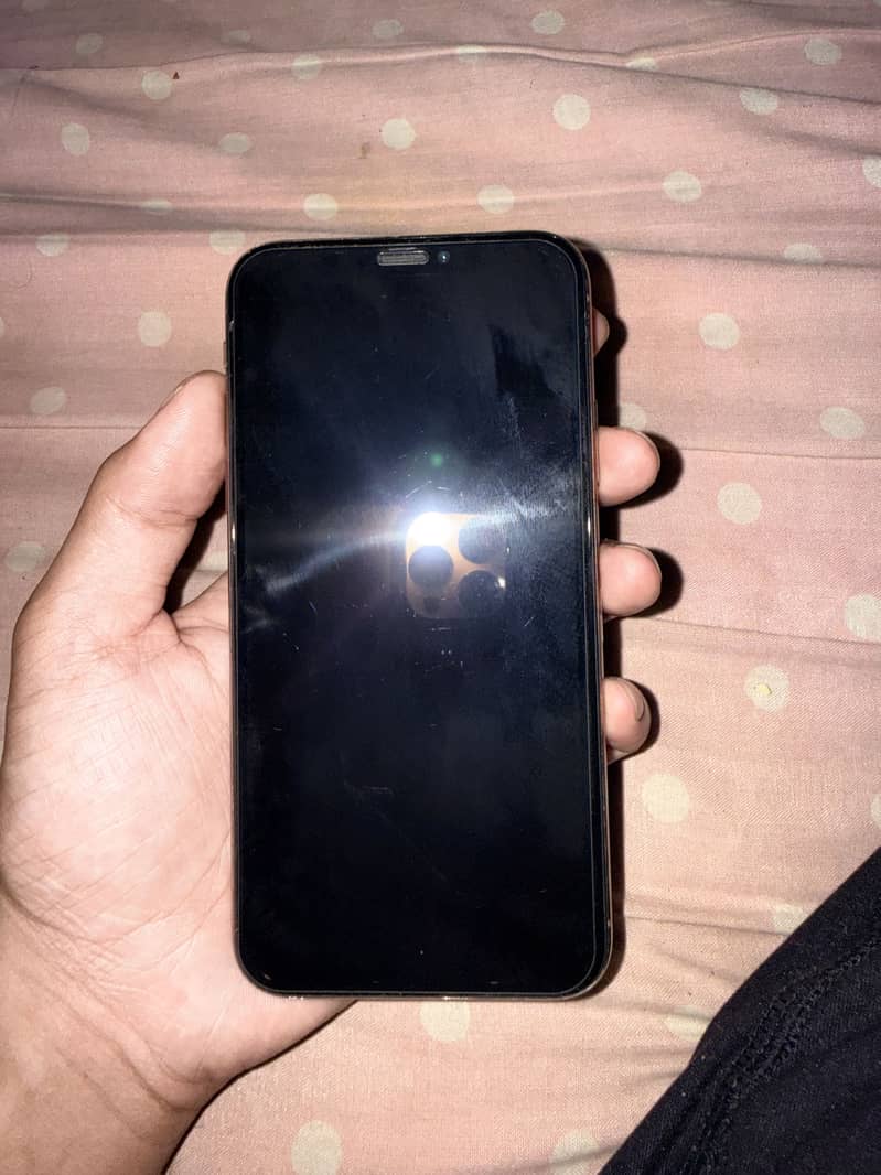Apple iPhone XS 1