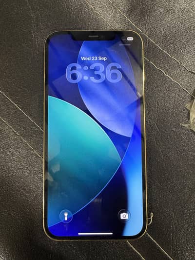 Apple iPhone 12 Pro Max