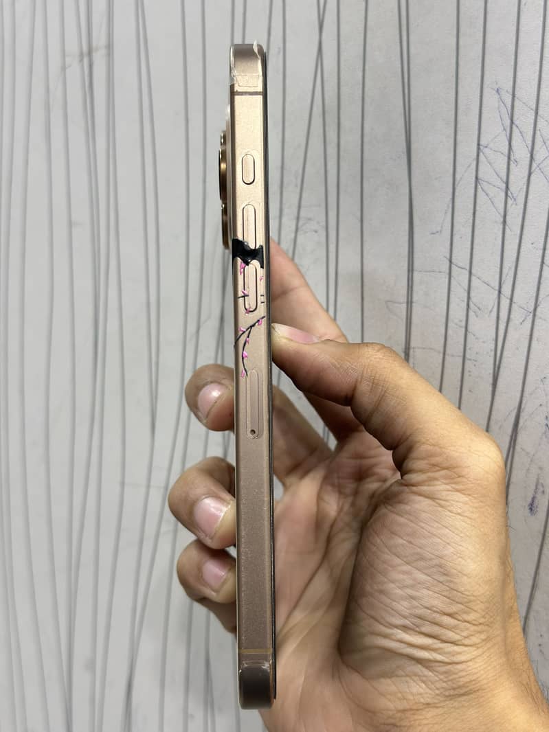 Apple iPhone 16 Pro Max 3