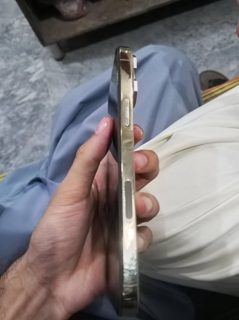 Apple iPhone 13 Pro Max 2