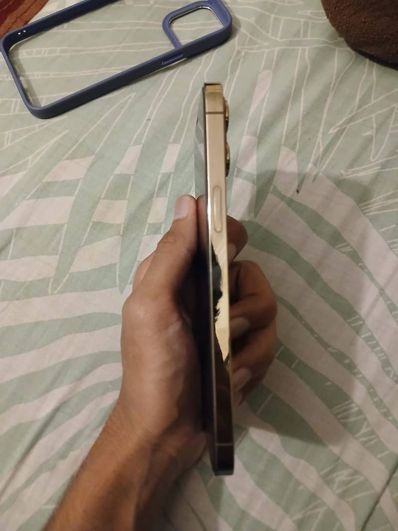 Apple iPhone 12 Pro Max 1